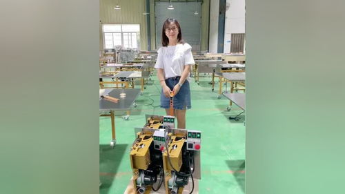 无尘子母锯 推台锯 木工台锯 封边机 无刷电机 木工锯台 折叠推台锯 质量杠杠的好 总有一款适合你