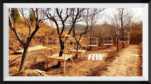 2021年青青部落国庆户外营 | 探秘木工锯的无限可能